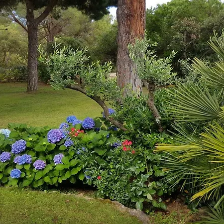Acaladoro En Villa Porto Vecchio